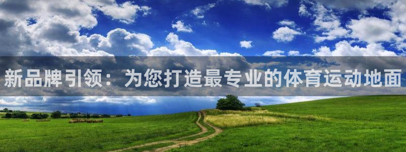 欧亿体育官方正版app神州：新品牌引领：为您打造最专