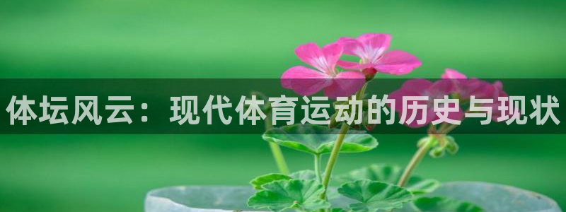 oety欧亿体育官网下载平台假的吗是真的吗吗：体坛风