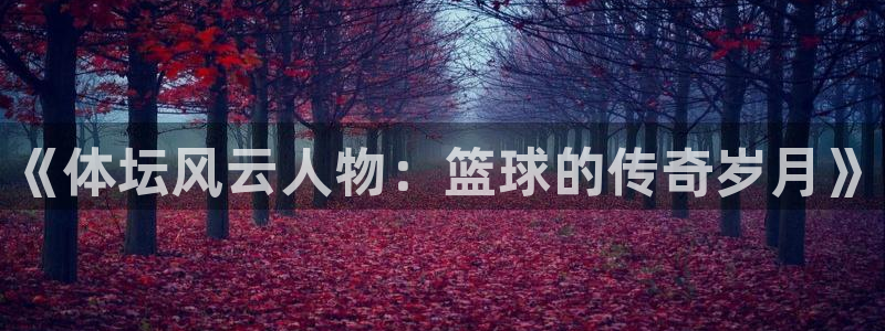 oety欧亿体育官网下载平台注册流程图：《体坛风云人
