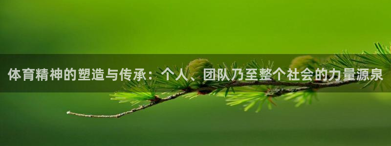 oety欧亿体育官网下载平台APP：体育精神的塑造与传承：个