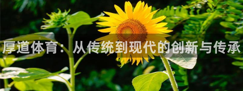 oety欧亿体育官网下载联系电话：厚道体育：从传统到现代的创