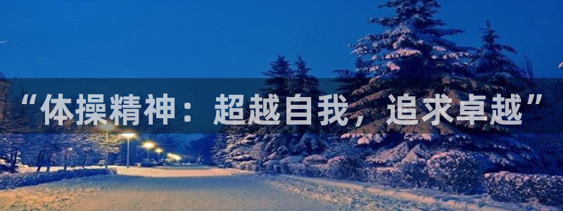 注册欧亿体育官方正版app：“体操精神：超越自我，追求卓越”