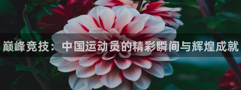 欧亿体育官方正版app娱乐是那个系列的台子：巅峰竞技：中国运