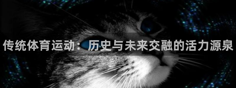 海南oety欧亿体育官网下载：传统体育运动：历史与未来交融的