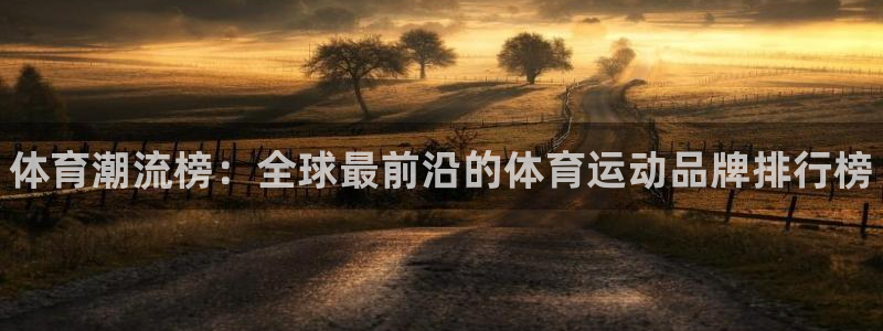 oety欧亿体育官网下载平台是正规平台吗：体育潮流榜：全球最