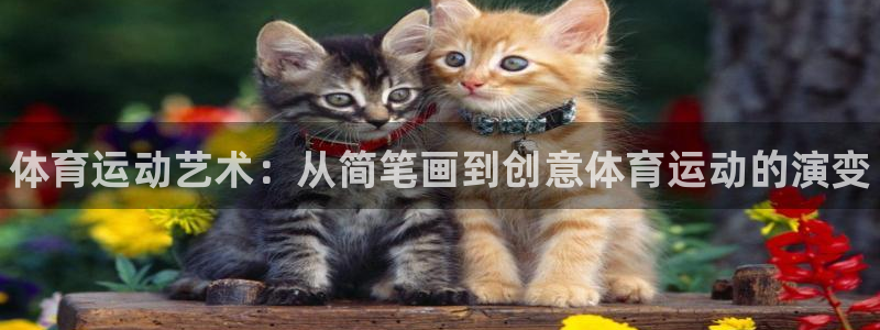 oety欧亿体育官网下载平台注册要钱吗：体育运动艺术：从简笔
