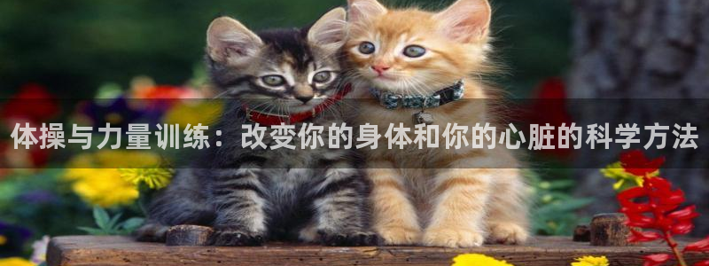 oety欧亿体育官网下载开户：体操与力量训练：改变你