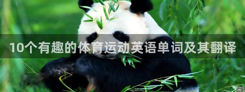 oety欧亿体育官网下载招商电话号码是多少：10个有趣的体育