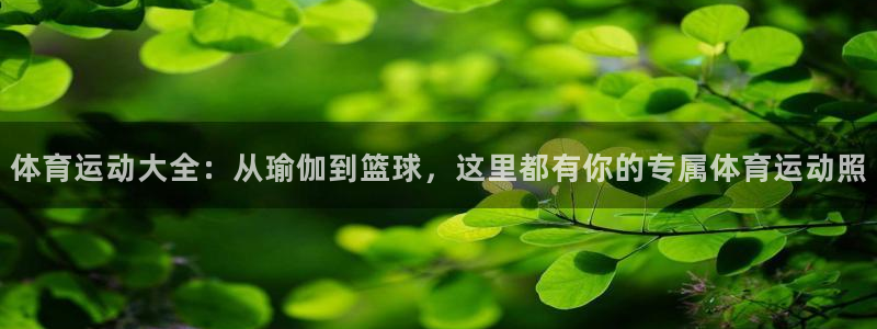 欧亿体育官方正版app官方:体育运动大全:从瑜伽到篮球,这里