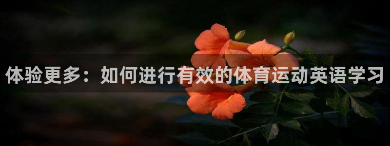 欧亿体育官方正版app集团:体验更多:如何进行有效的体育运动