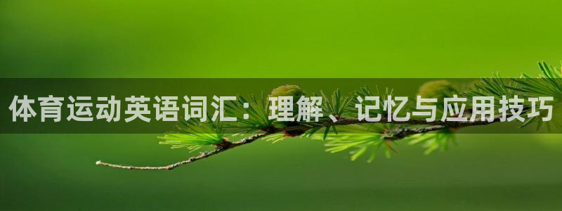 oety欧亿体育官网下载平台注册流程图：体育运动英语词汇：理