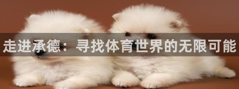 oety欧亿体育官网下载招商电话地址是多少