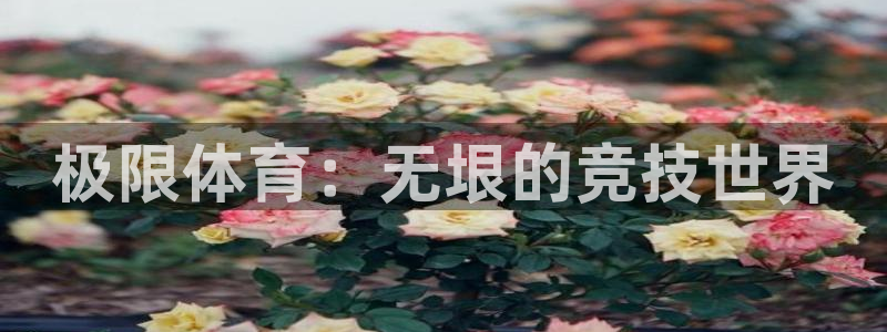 欧亿体育官方正版app集团E.ON：极限体育：无垠的竞技世界